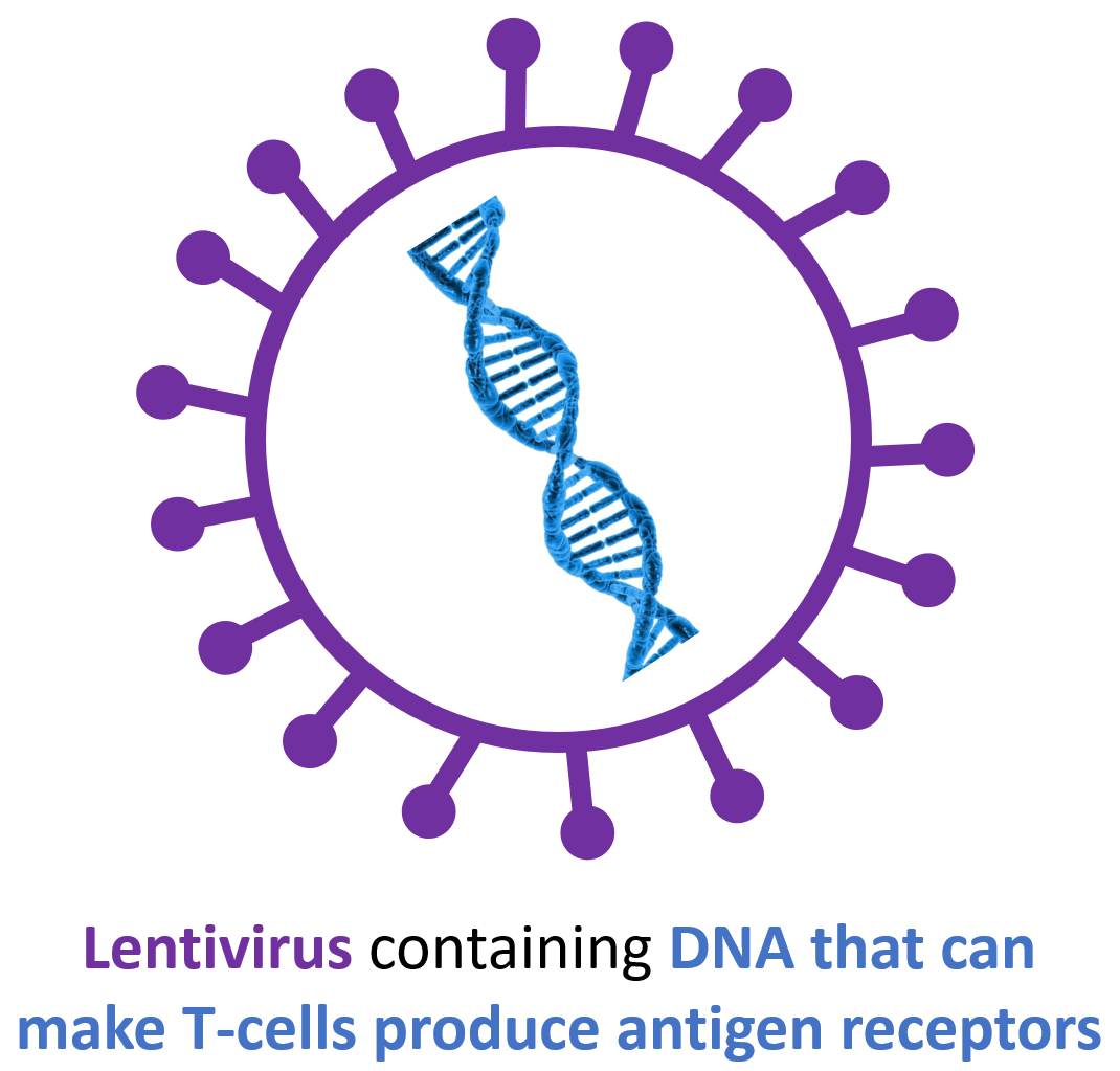 Image of a lentivirus containing DNA